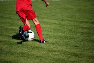 mk体育app下载-青训球员选拔机制存在结构性偏见，青训选拔喜欢那种球员