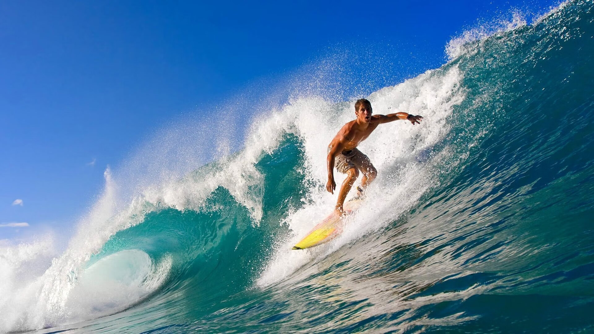 体育行业招商手册标准模板推广落地，体育招商引资建议